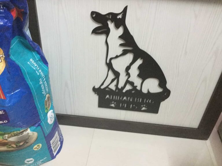 ahiran berg pets sodala jaipur pet shops 1btlm54 768x576