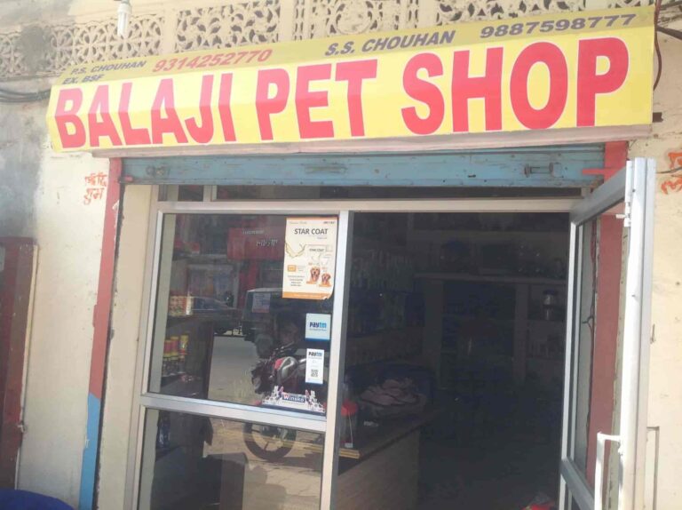 balaji pet shop khatipura jaipur pet shops dv3vk 768x574