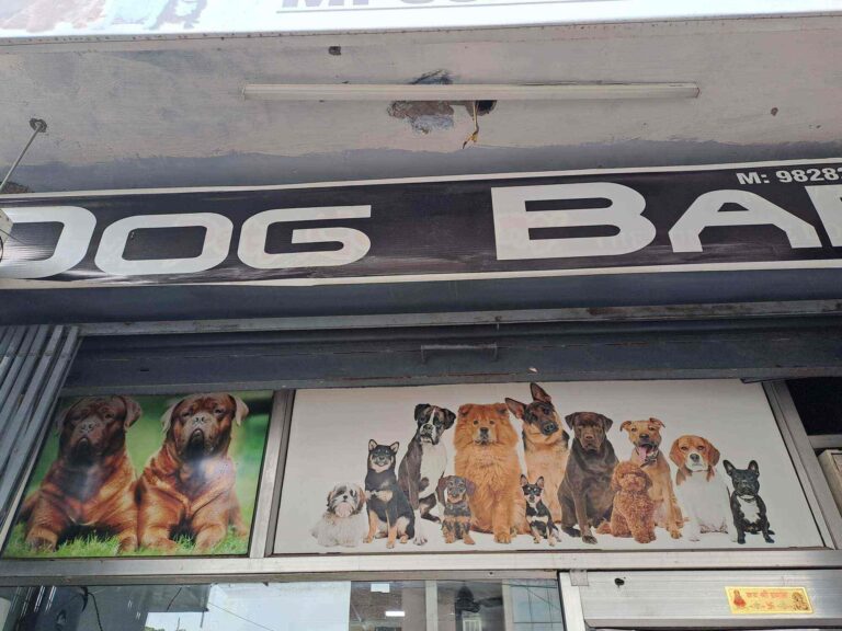 dog bar durgapura jaipur pet shops a6iy5asbwq 768x576