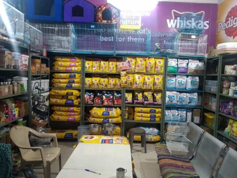 dog desire a complete dog solution mansarovar jaipur pet shops euiz3gclf3 768x576