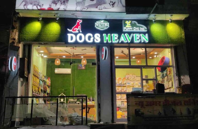 dogs heaven ajmer road jaipur pet shops nc66joprtl 768x500