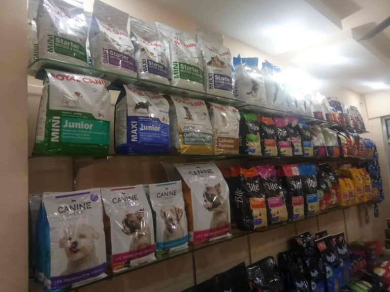 guru kripa pet shop mansarovar jaipur pet shops std77 768x576