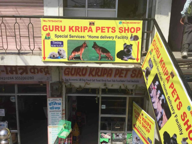 guru kripa pets shop mansarovar jaipur pet shops 3ybz1 768x576