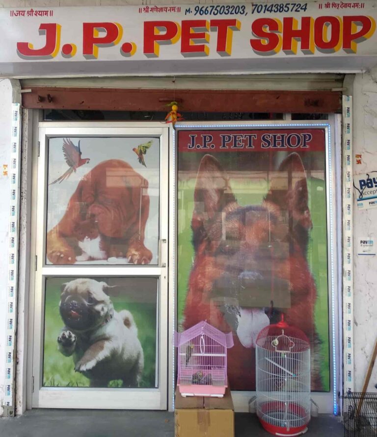 j p pet shop vidhyadhar nagar jaipur pet shops rjdc3qi8ex 768x889