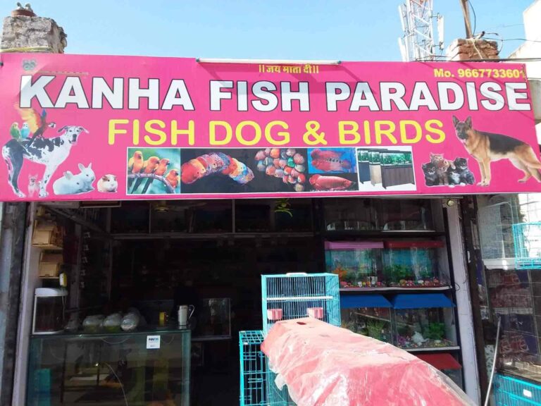 kanha fish paradise jaipur ffep8nuyhc 768x576