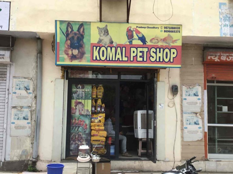 komal pet store jaswant nagar jaipur pet shops 3e1z5 768x576