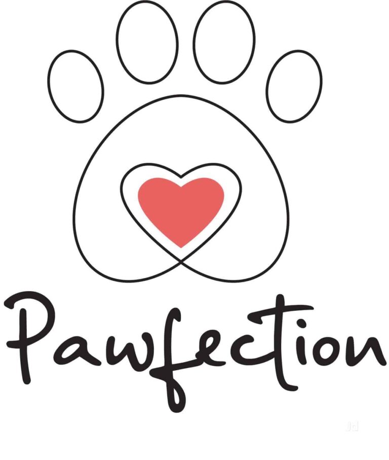 pawfection mansarovar jaipur pet shops 31m16txkm6 768x907