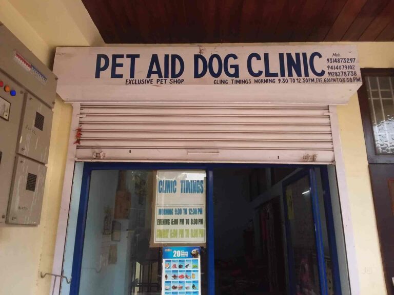 pet aid dog clinic and shop bani park jaipur pet shops 0h74xcvadg 768x576