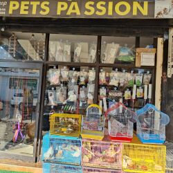 pet passion raja park jaipur pet shops 73zb4pw1ct 250