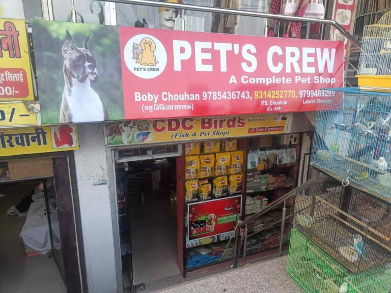 pet s crew birds and fish shop jaswant nagar jaipur pet shops pt3qxl71cd 768x576