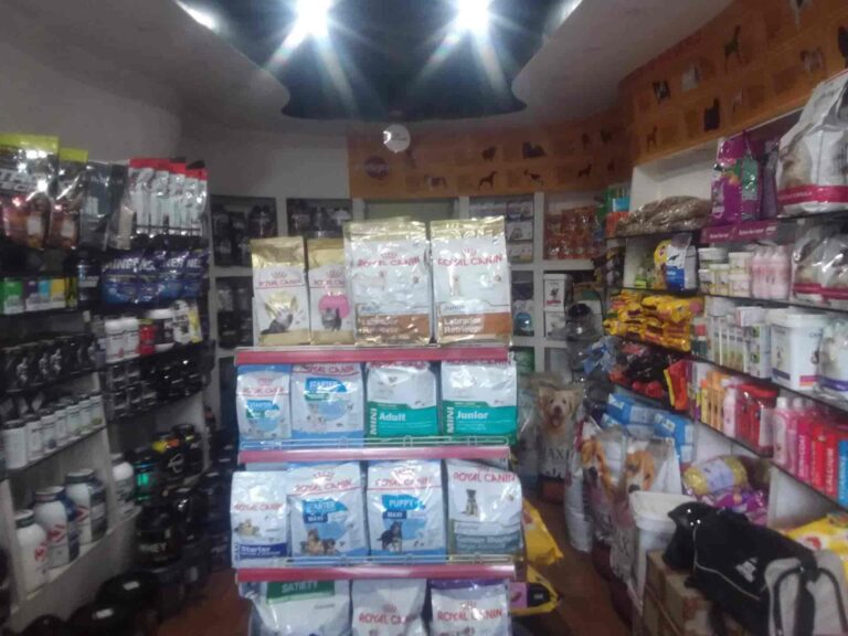 pet shoppe vaishali nagar jaipur pet shops 1y7prdt9az 768x576