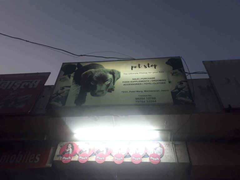 pet stop cafe mansarovar jaipur pet shops elk07qzl8z 768x576