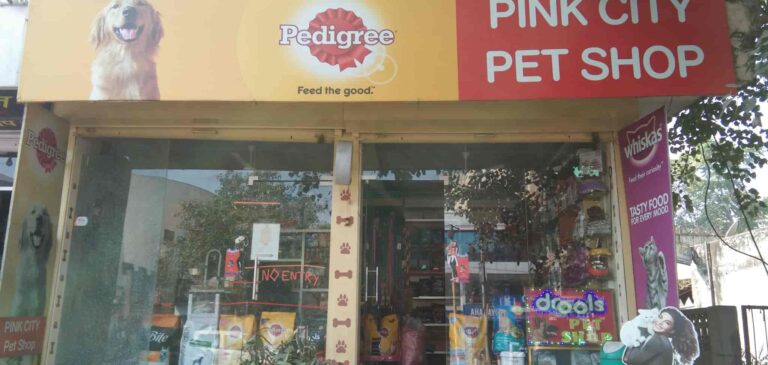 pink city pet shop tonk pathak jaipur pet shops u6ru1055y9 768x365