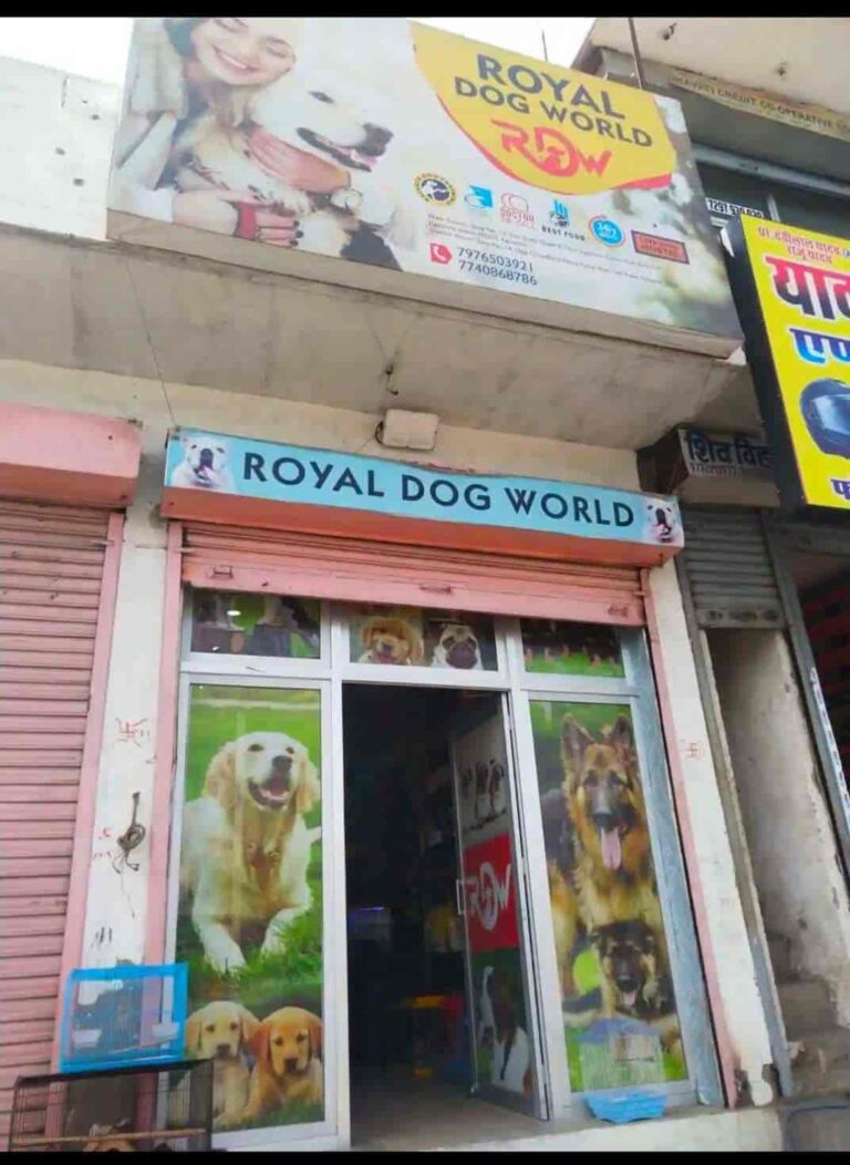 royal dog world sanganer jaipur dog trainers suu3gwpxfa 768x1052