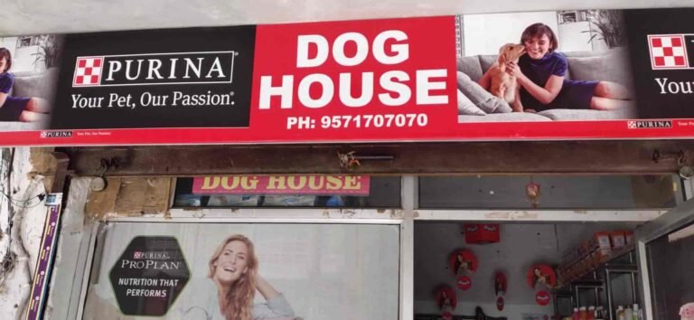 the dog house jaipur umn0y4c5gf 768x354